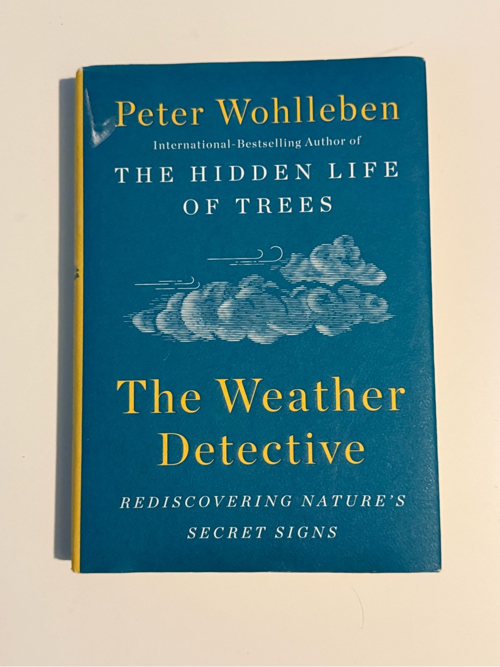 Free with purchase over $25 - The Weather Detective book